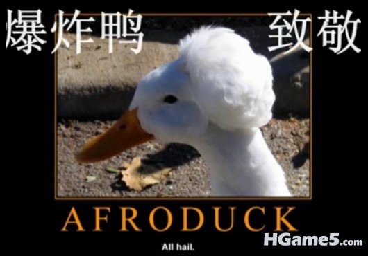 未命名196.jpg