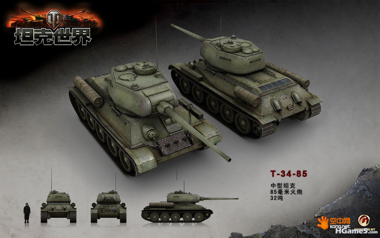 T3485_800.jpg