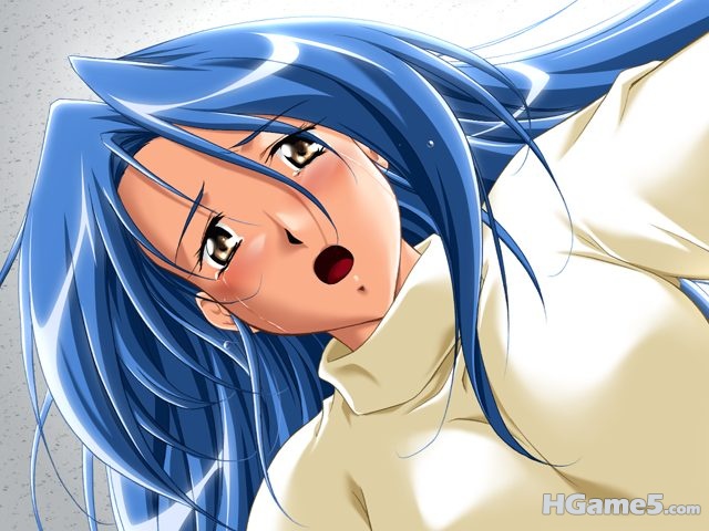 ameiro048[1].jpg