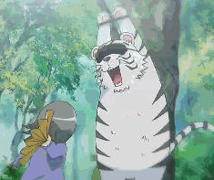 img.gif