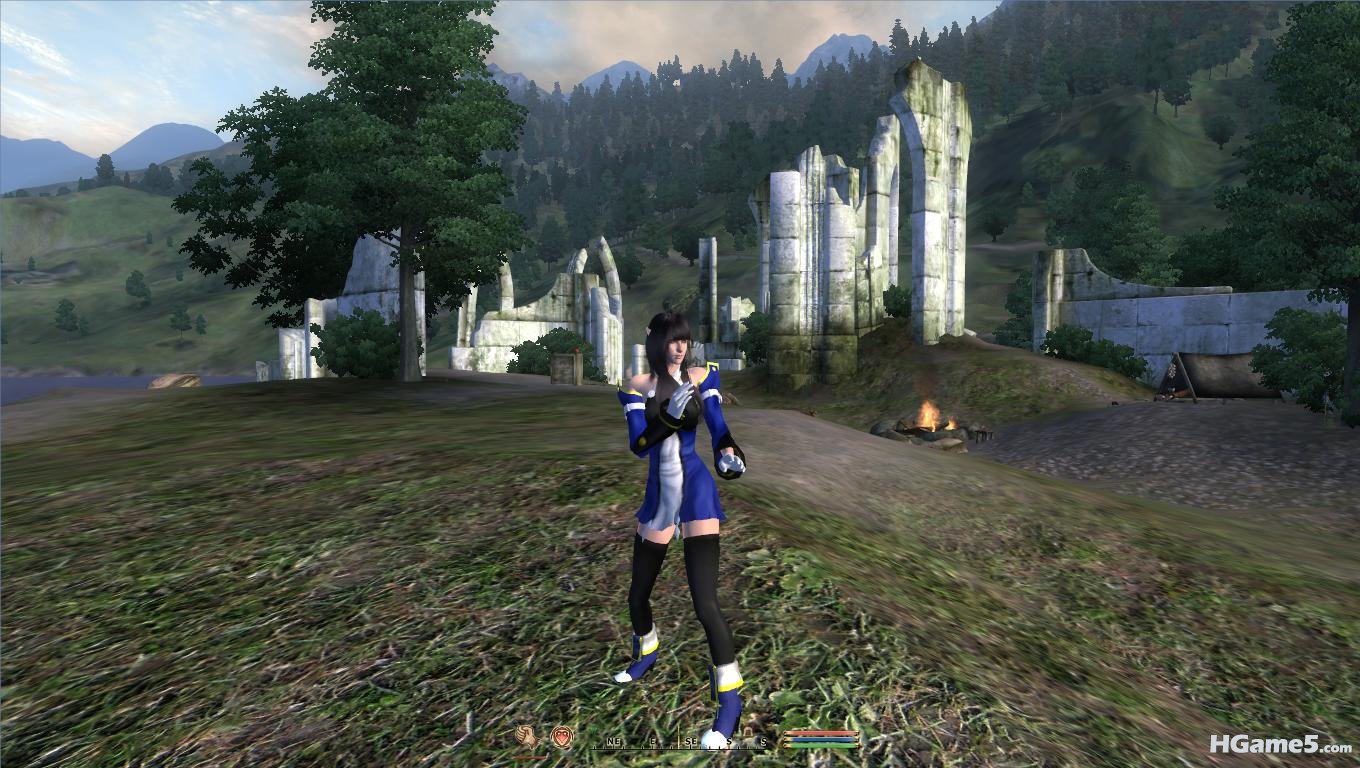 Oblivion 2011-01-14 13-43-45-92.jpg