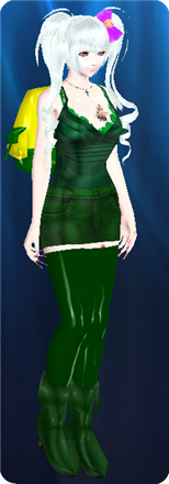 绿色装.png