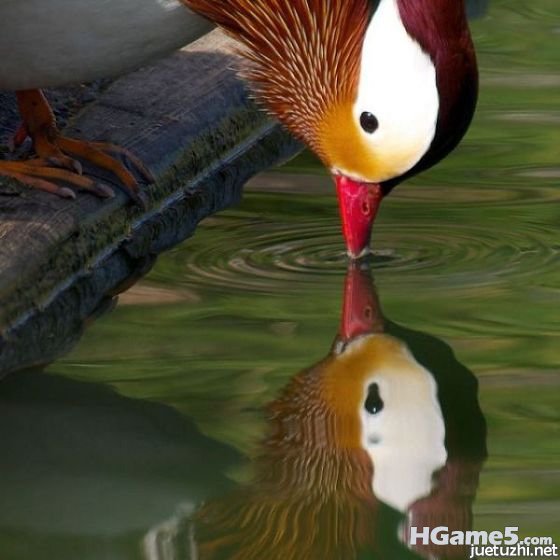 4940798530_ca3b2d2c58_z.jpg