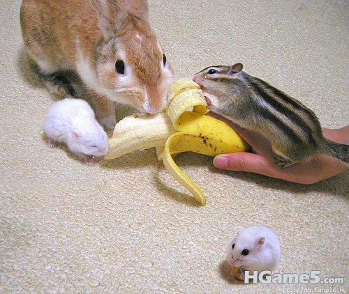 4202045560_cfc1f1c098.jpg