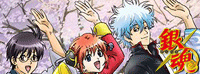 11.gif