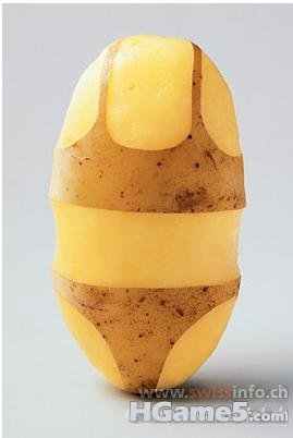 5.jpg