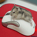 2010051000012251.gif