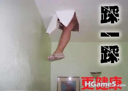 113.jpg