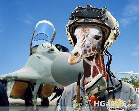 200907211114571072491010.jpg