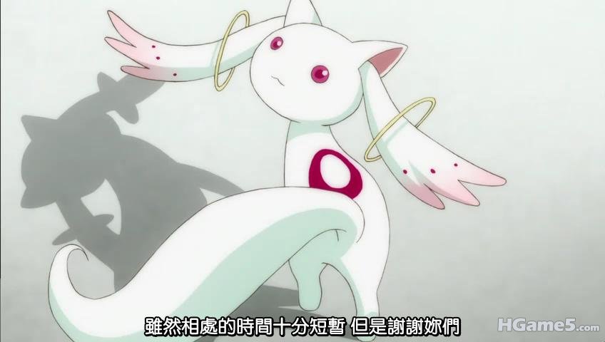 20110129144919.jpg