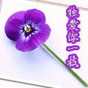 爱你