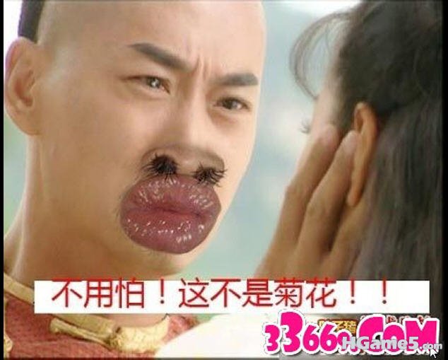 还是菊花比较干净