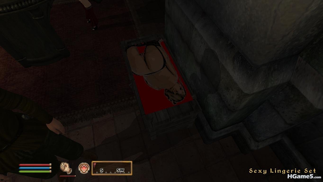 Chest in the Divine Elegent Shop.jpg