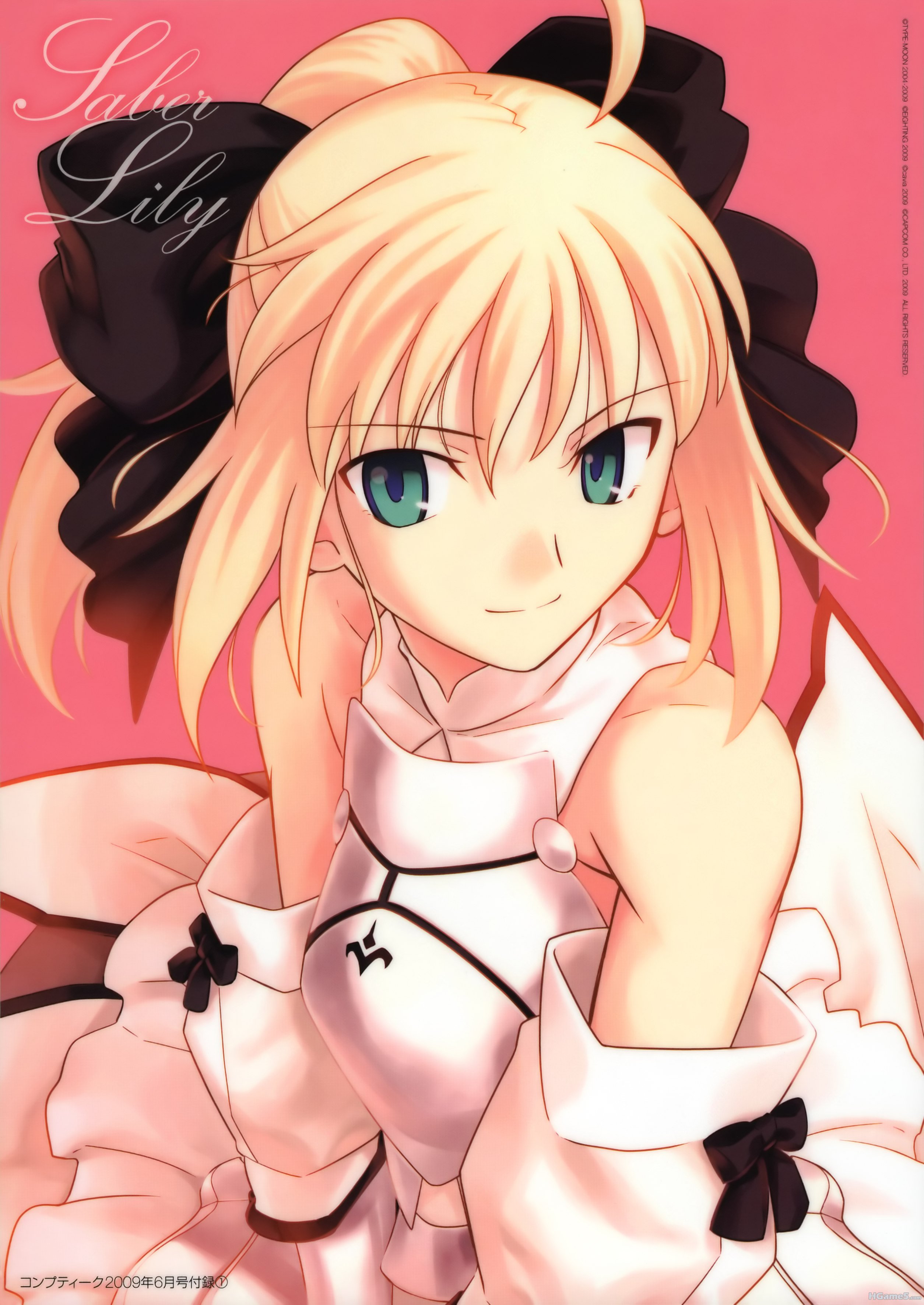 00322_p498782_absurdres armor blonde_hair fate_stay_night fate_unlimited_codes g.jpg