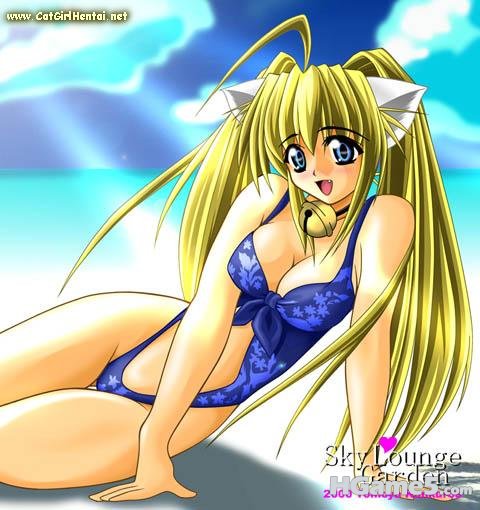 257_02hp_top (1).jpg