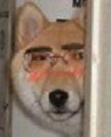 调教.png