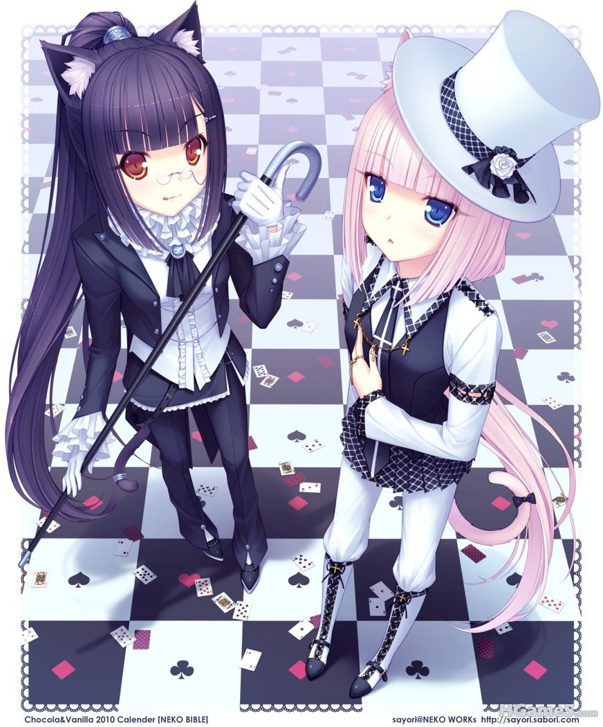 7716558.jpg