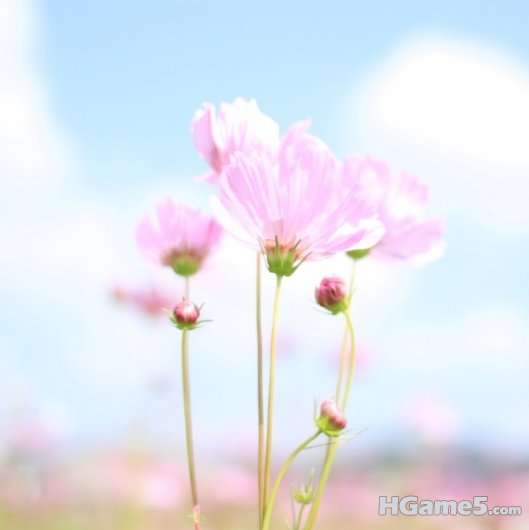 120436hqr2udzdfruueuqq.jpg.thumb.jpg