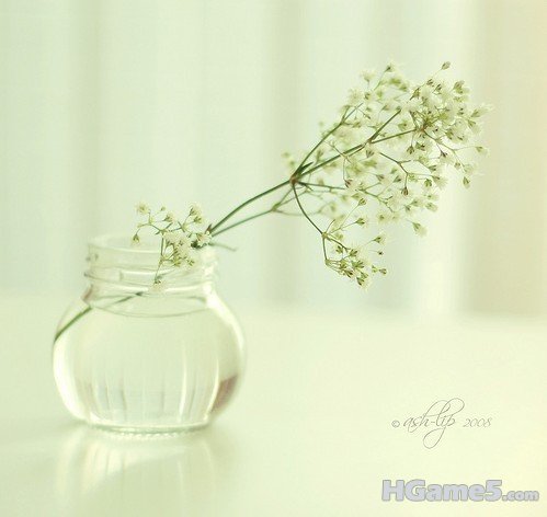 021618aagwslv5j8ajisls.jpg