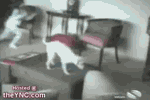 http_imgload.gif