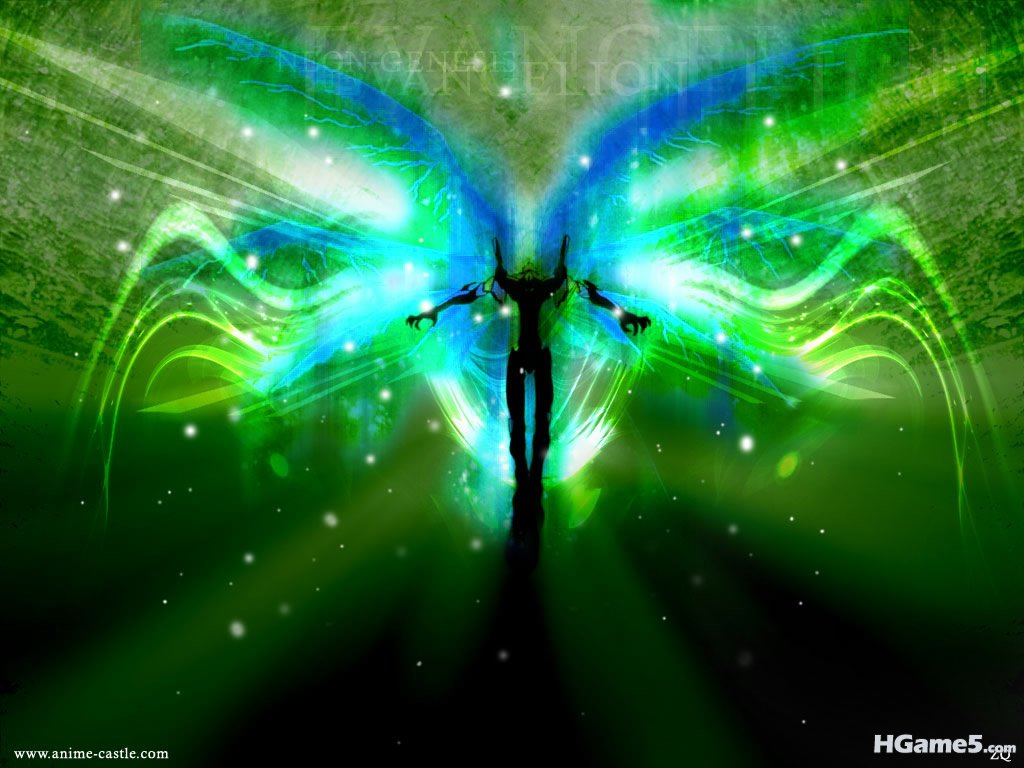 5ce5304b4e35606608f7effb.jpg
