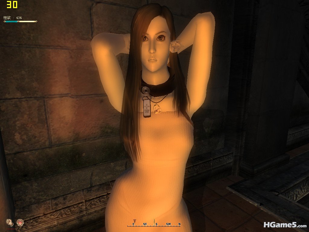 Oblivion 2011-06-20 14-17-17-00_副本.jpg