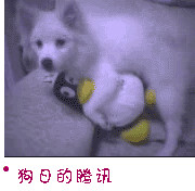 p_large_KJj1_3af1000190145c71.jpg