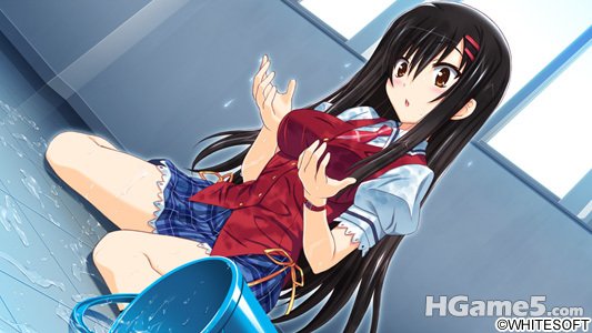 c708416sample8.jpg