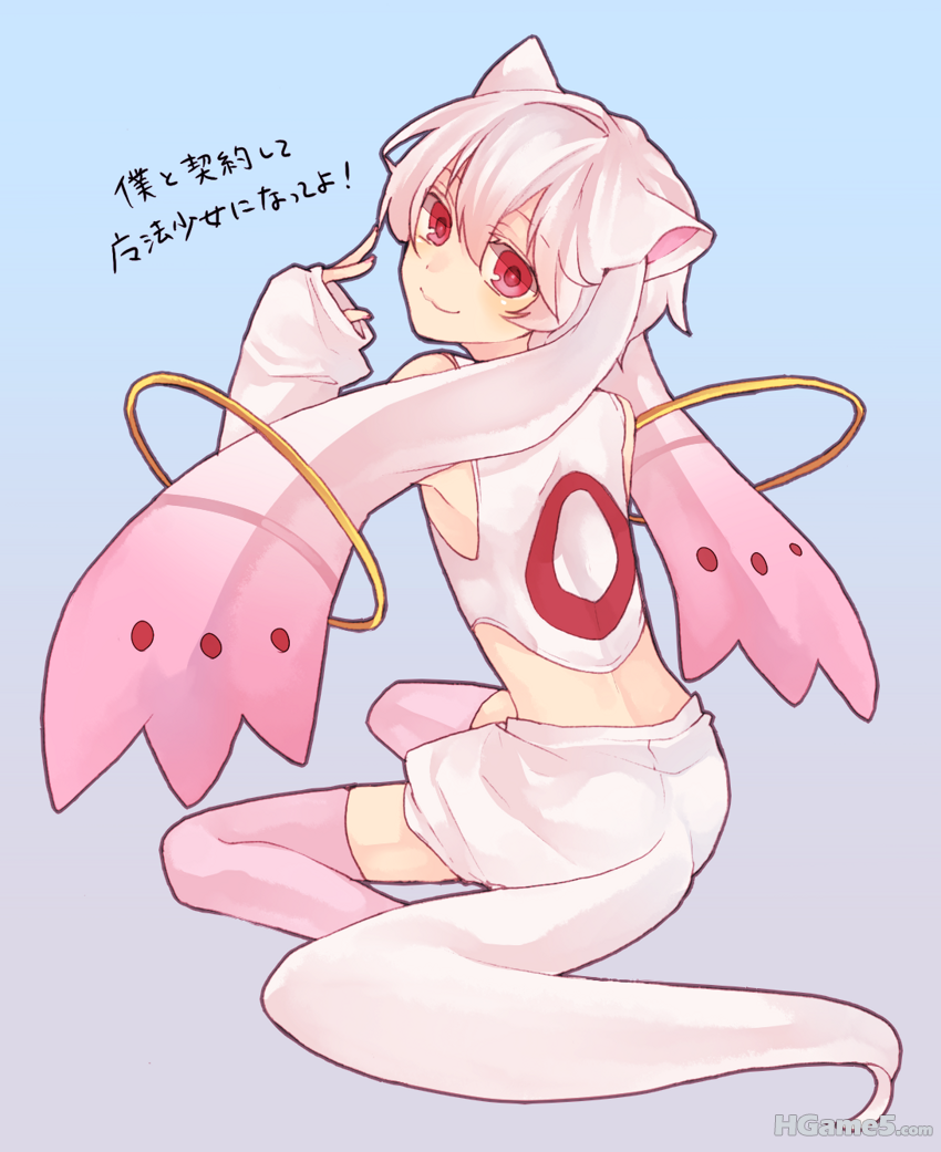1KGAv.png
