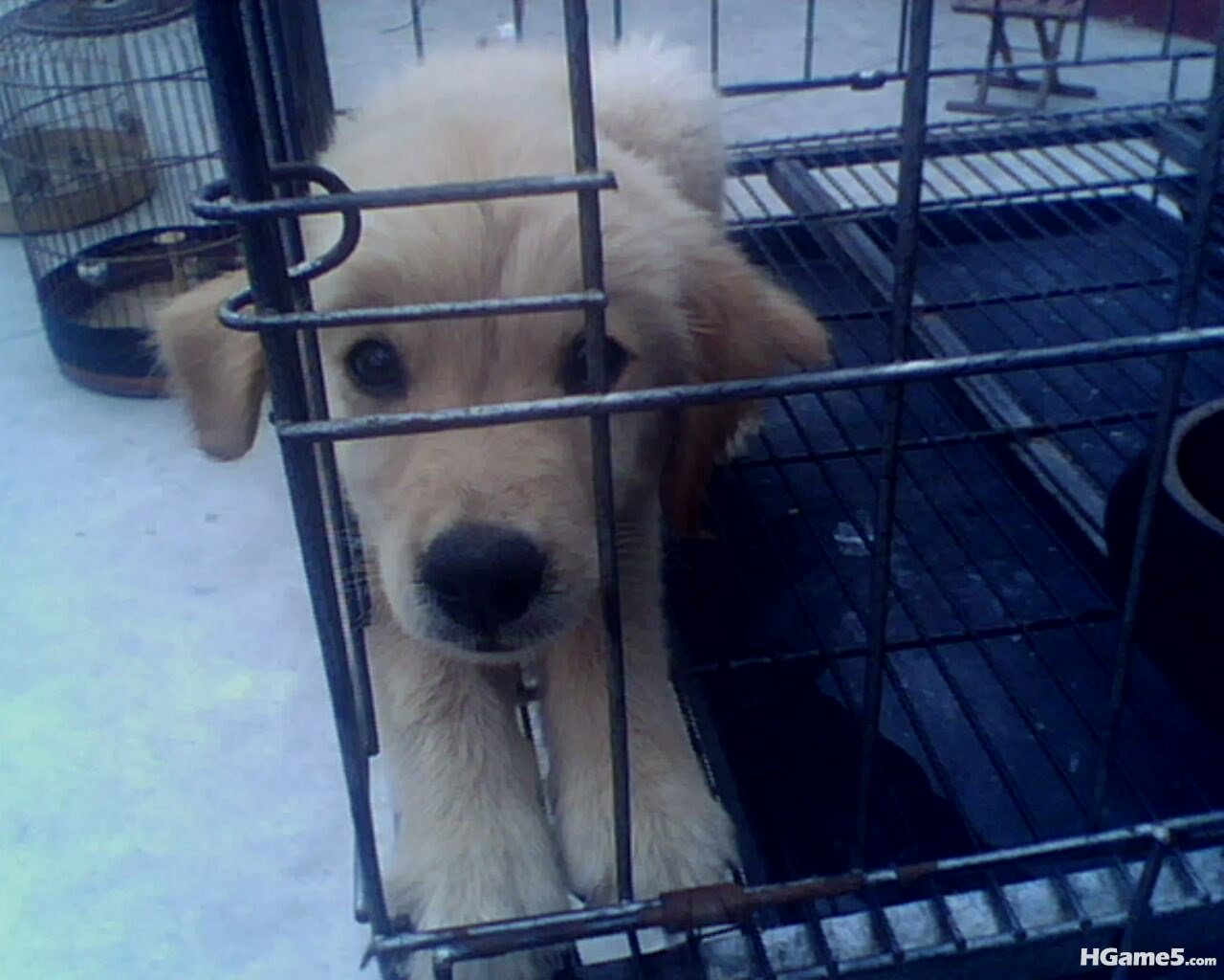 IMG0302A.jpg