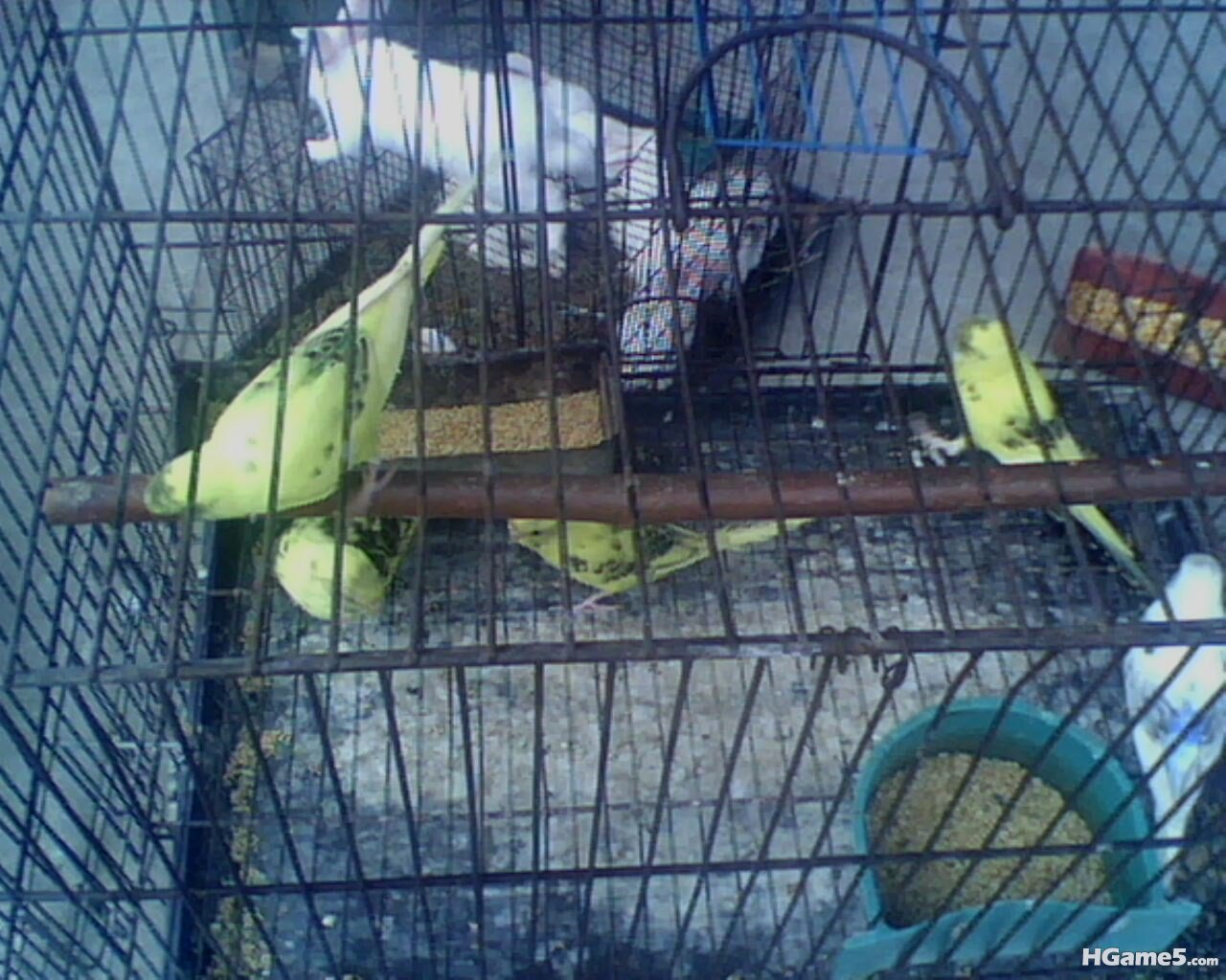 IMG0305A.jpg