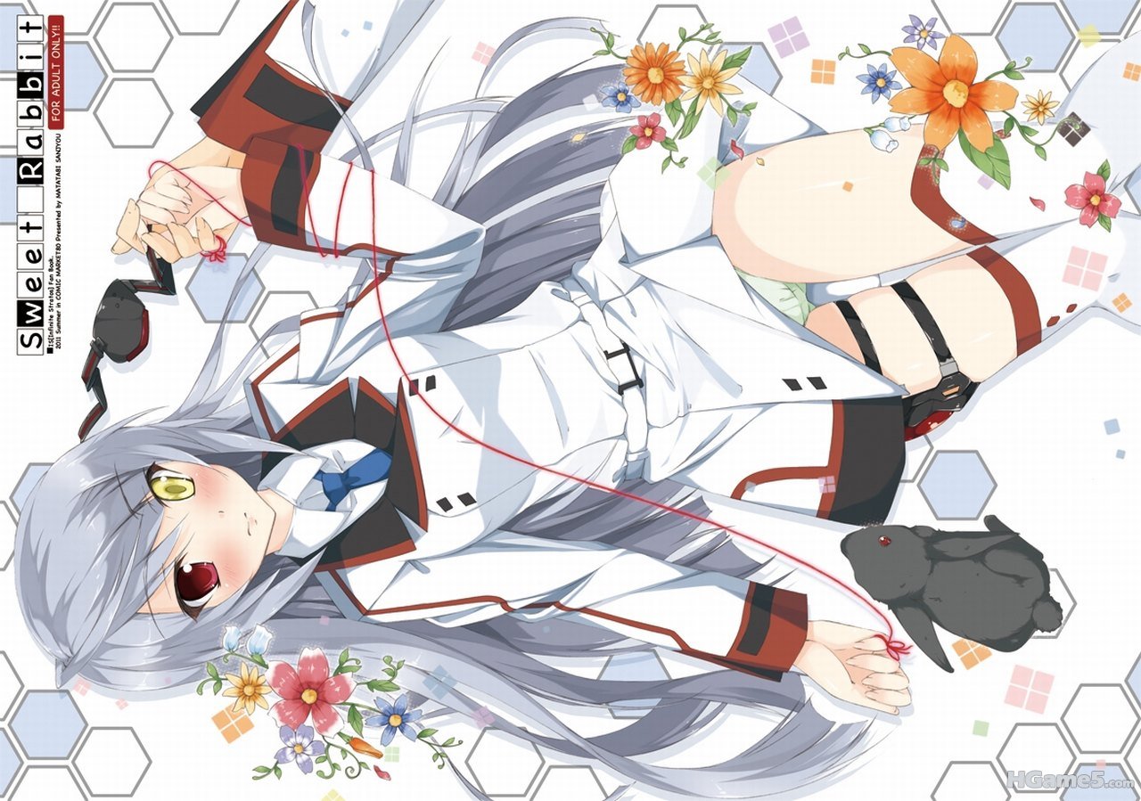 .com - 111098 animal bicolored_eyes flowers haru infinite_stratos laura_bodewig .jpg