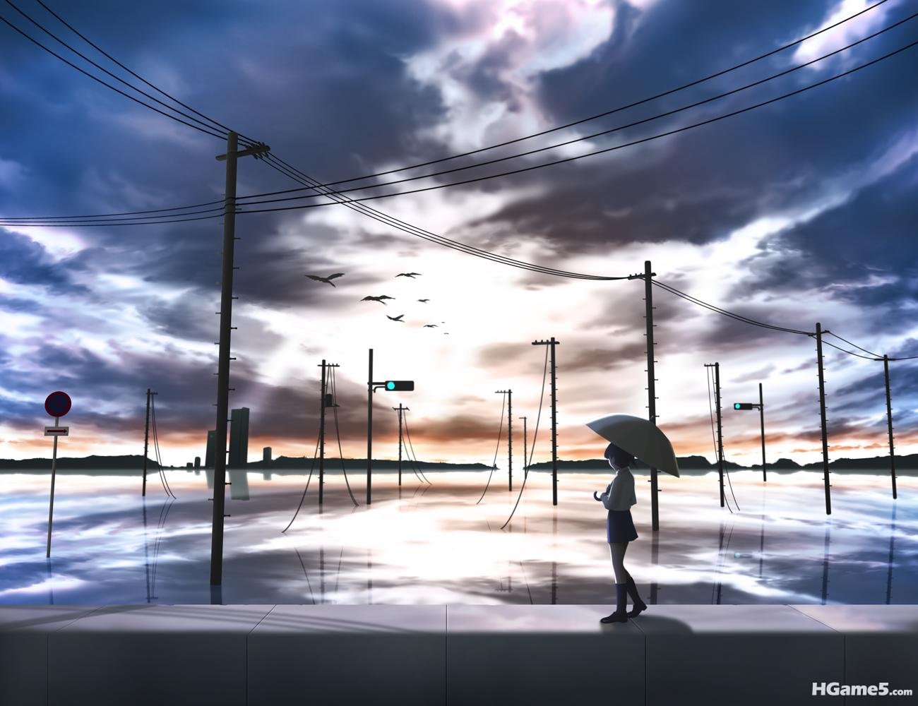 Konachan_com - 88805 animal bird clouds scenic siraha sky tagme umbrella water.jpg