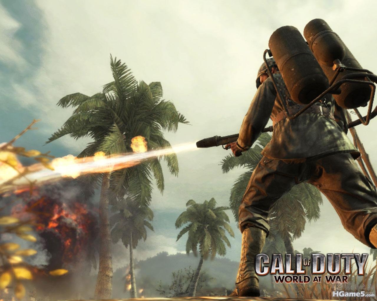 COD5.jpg