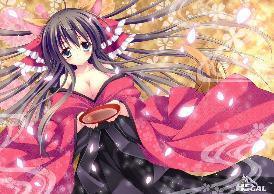 Konachan.com - 85924 animal_ears blue_eyes blush bow brown_hair cherry_blossoms .jpg