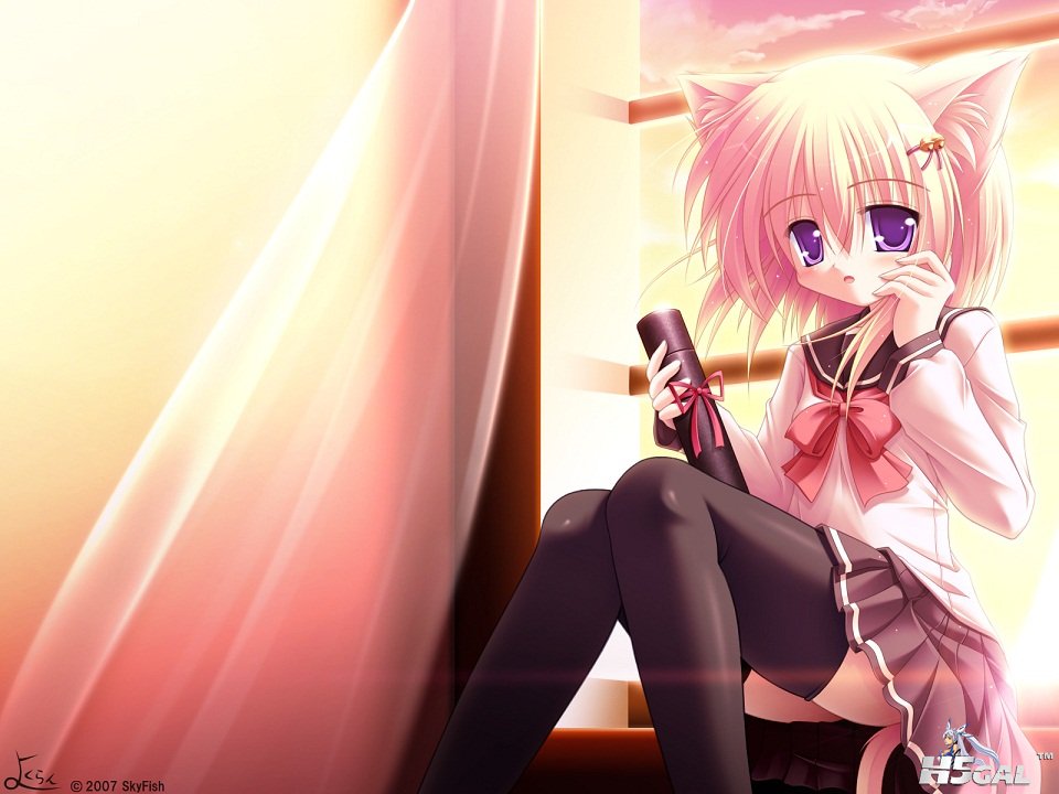 moe 80106 animal_ears nekomimi seifuku tail thighhighs wallpaper yokuran.jpg