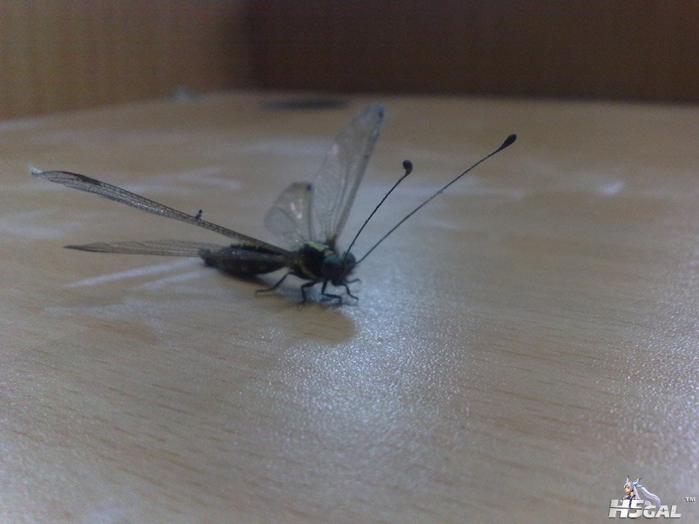 201006271415.jpg