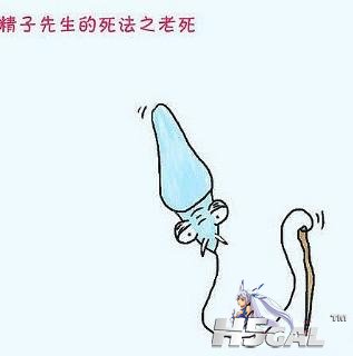 20110729130501-1058063220.jpg