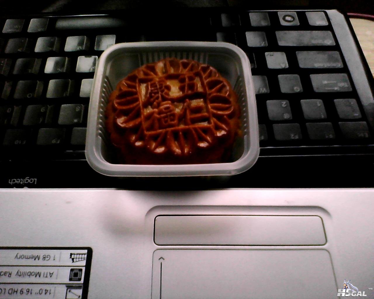 图片 006.jpg