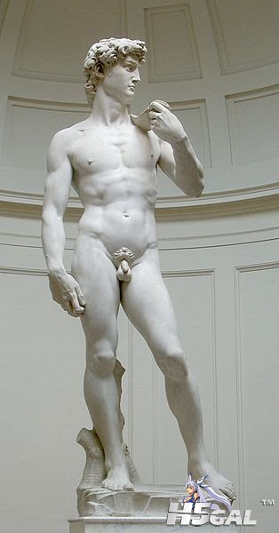 314px-David_von_Michelangelo.jpg