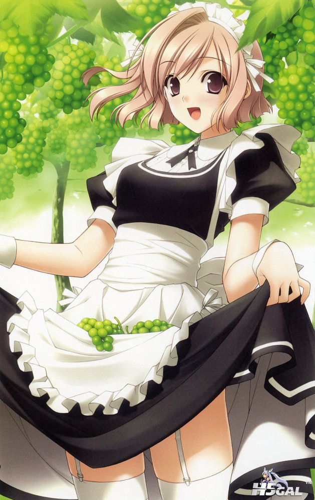 moe 157688 sample.jpg