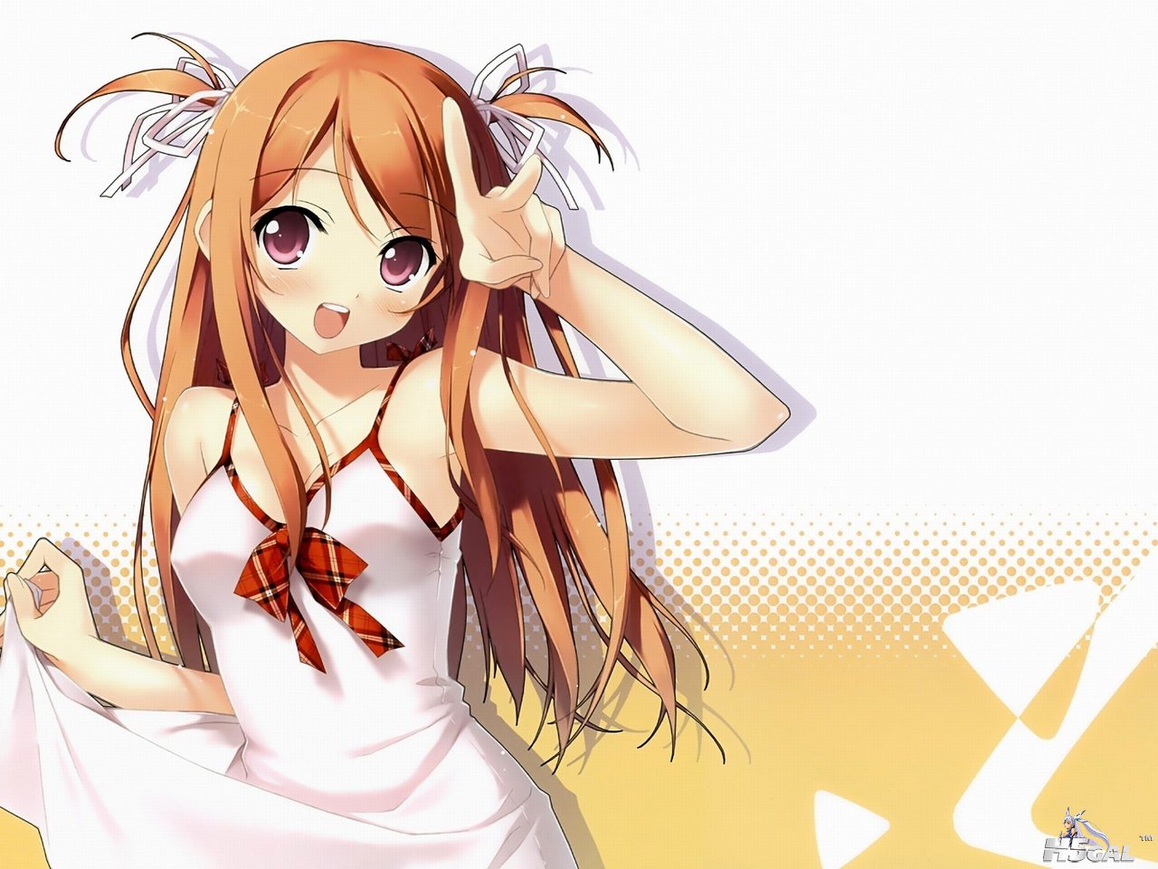 20110303170615166.JPG