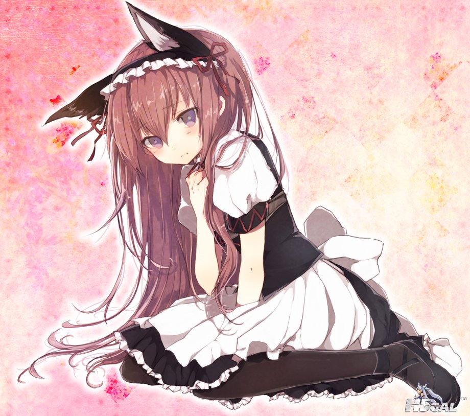 19013920.jpg