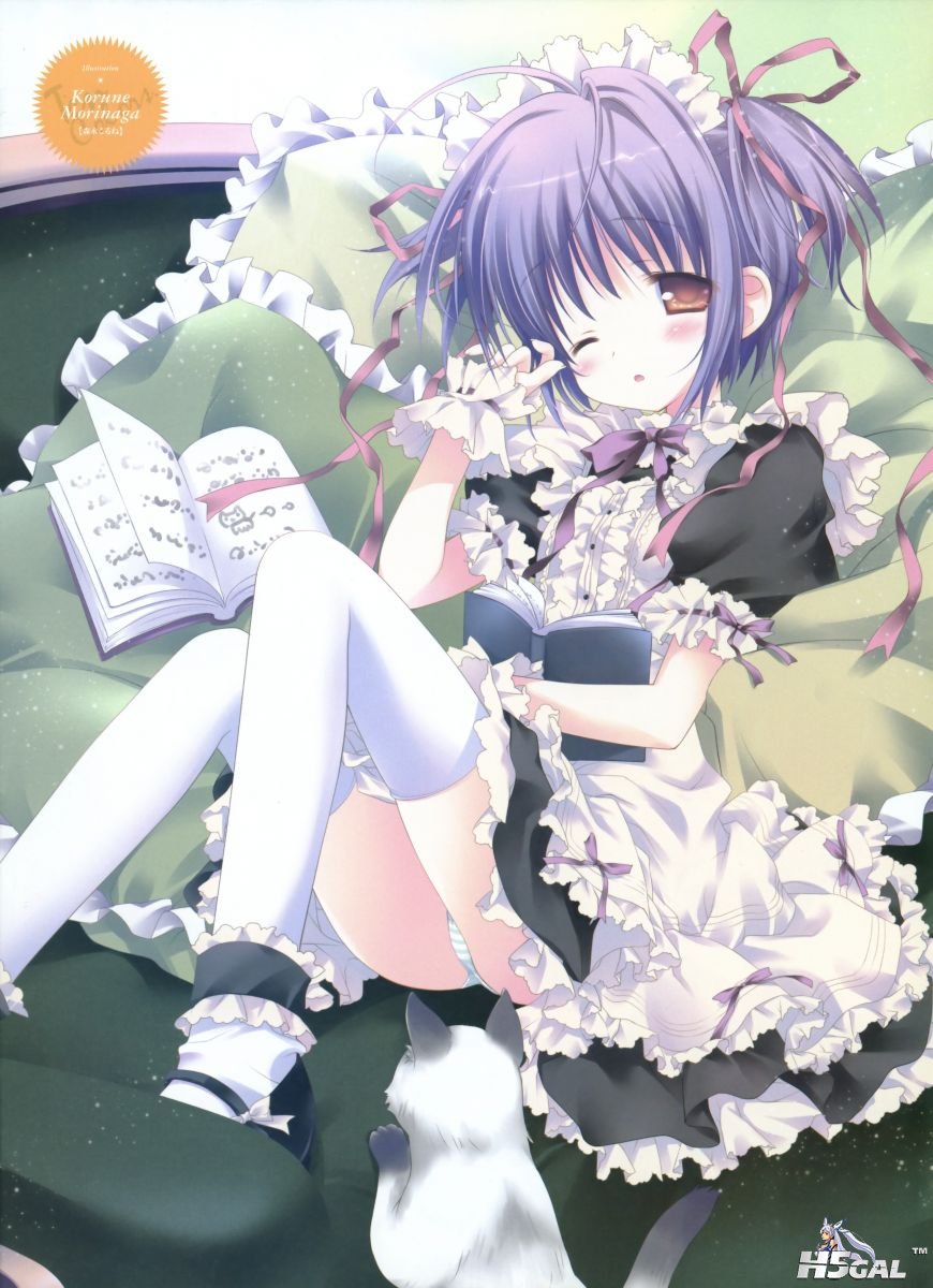 团子22.jpg