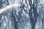 171_528898_0e598b304c52953.gif