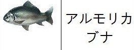 05.jpg