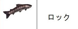 08.jpg