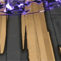 19.gif