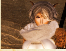 QQ截图20111026103409.png