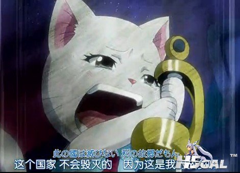 夏露露的.jpg